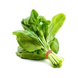 Green & Leafy Vegetables