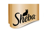 sheba