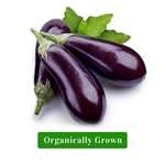 Organic Brinjal/Organic Baingan Bharta