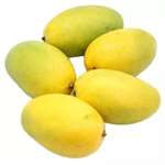 Mango Dasheri- 1 Kg
