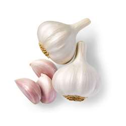 Garlic/Lehsun