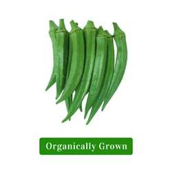 Organic Lady Finger/Organic Bhindi