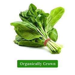 Organic Spinach/Organic Palak (Approx 250gm-300gm)