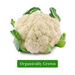 Organic Cauliflower/Organic Phul Gobi (Approx 400gm-600gm)