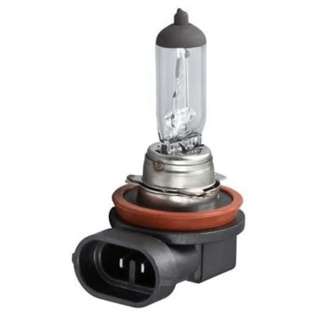 Excelite H11 Halogen Longlife LL Bulb 12 Volt 55 Watt