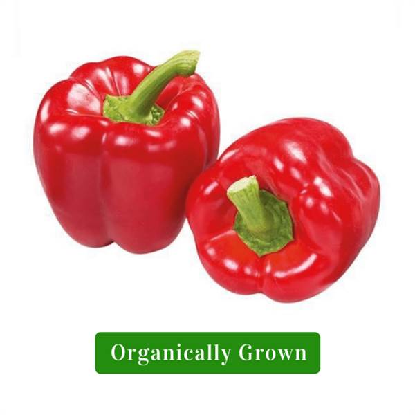 Organic Capsicum Red