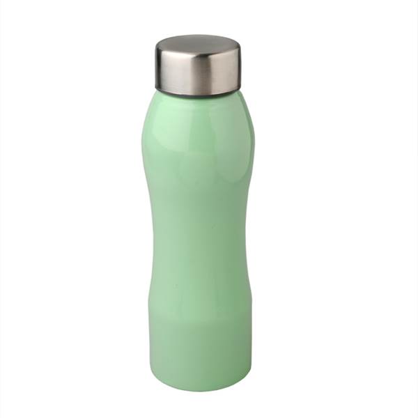 Dr.Water Aquapro Stainless Steel Bottle- Light Green- 750 ml