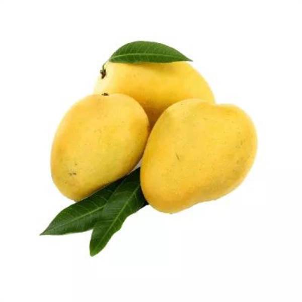 Mango Badam- 2 Kg