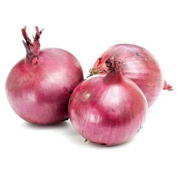 Onion/Kanda