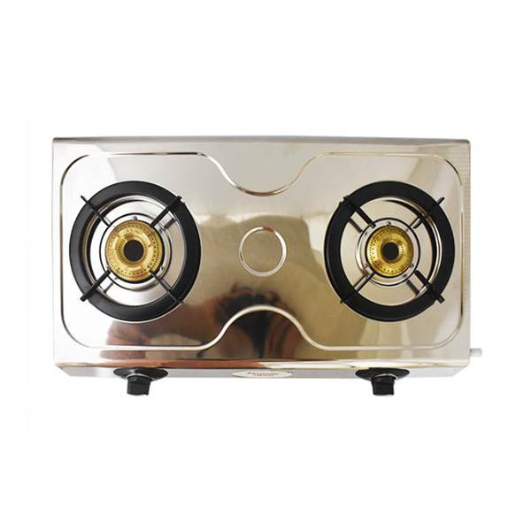 Buy Butterfly Hippo Stainless Steel Gas Stove 2 Burners online at best