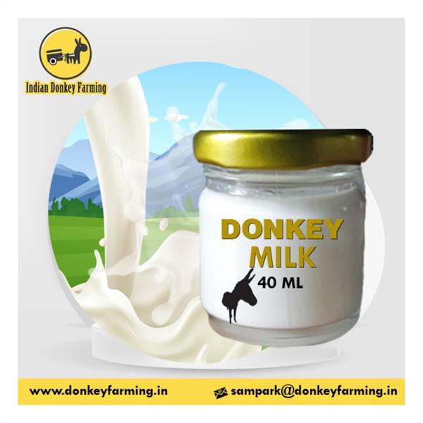 Buy Dairy Products Online at Best Price