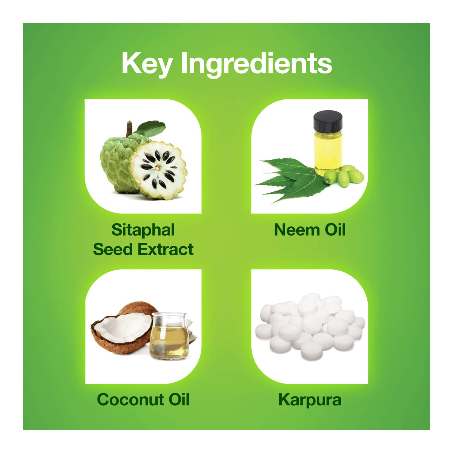 Buy Mediker AntiLice Treatment Shampoo, 50 ml, Green online at best price