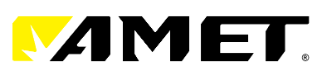 Amet Inc.