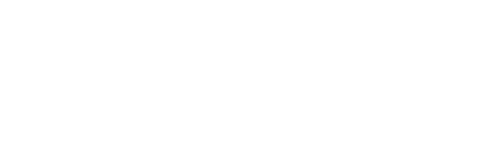 ANDRO Computational Solutions, LLC