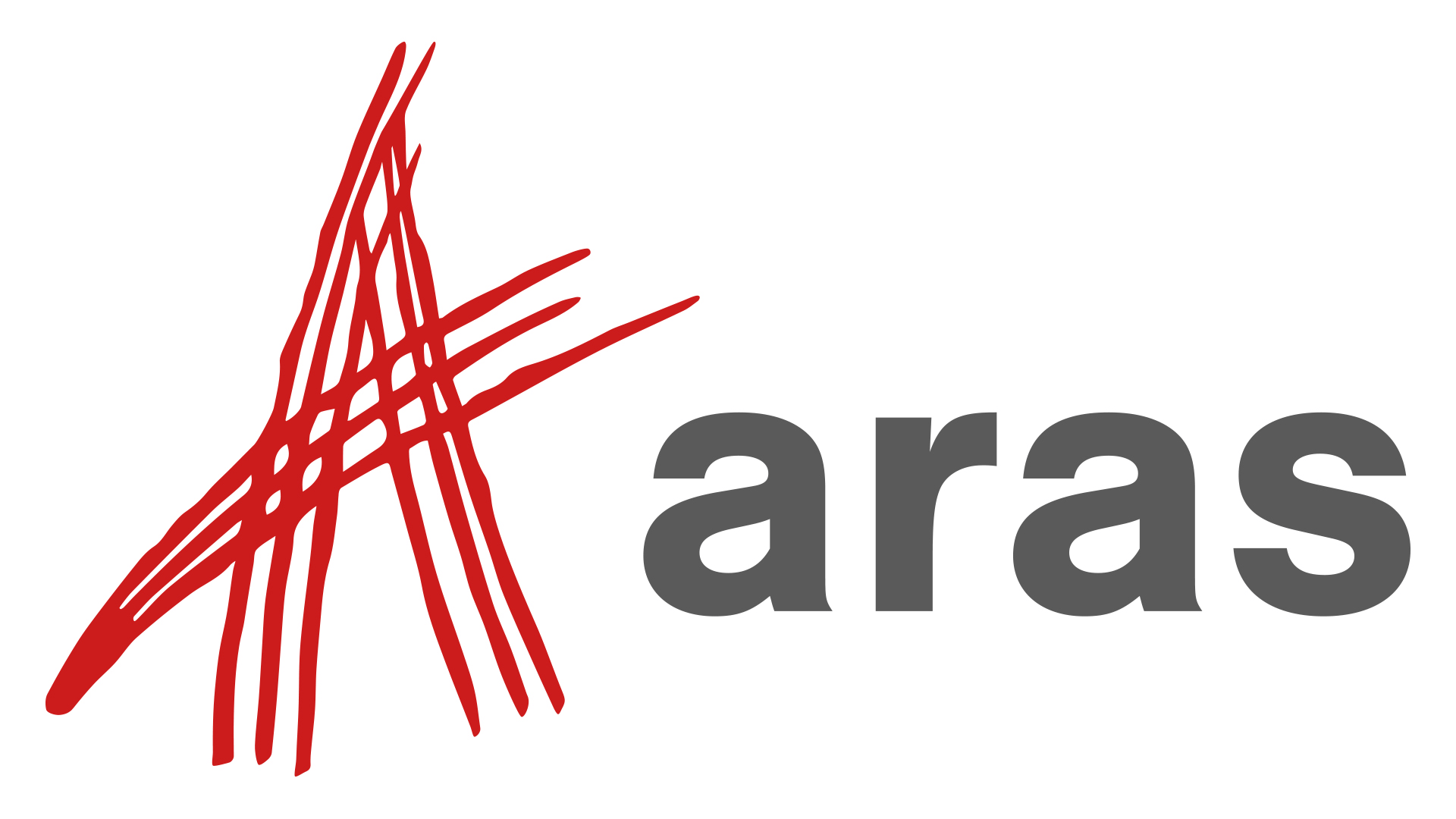Aras Corporation