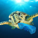 Bioplastics International