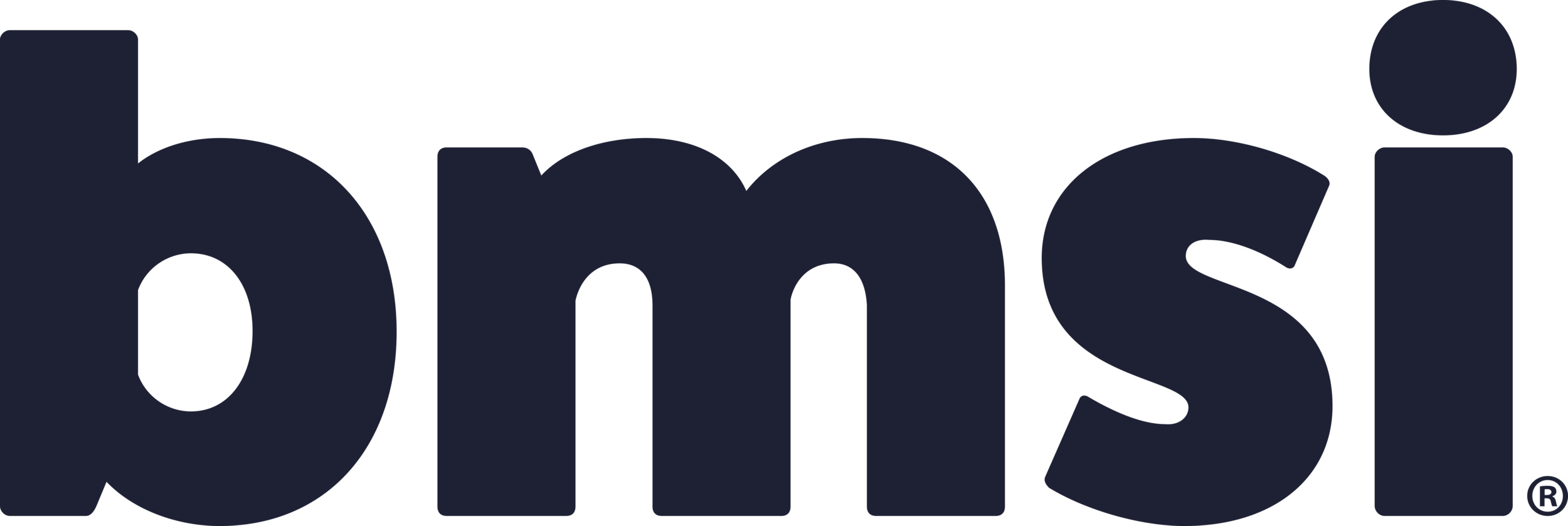 BMSI Packaging Services Company