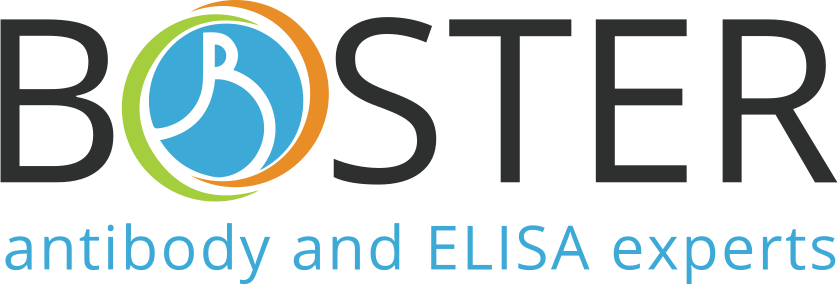 Boster Biological Technology Co Ltd