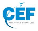 CEF Industries LLC
