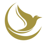 Celesticare LLC