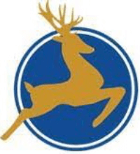 Dearing Compressor & Pump Co.