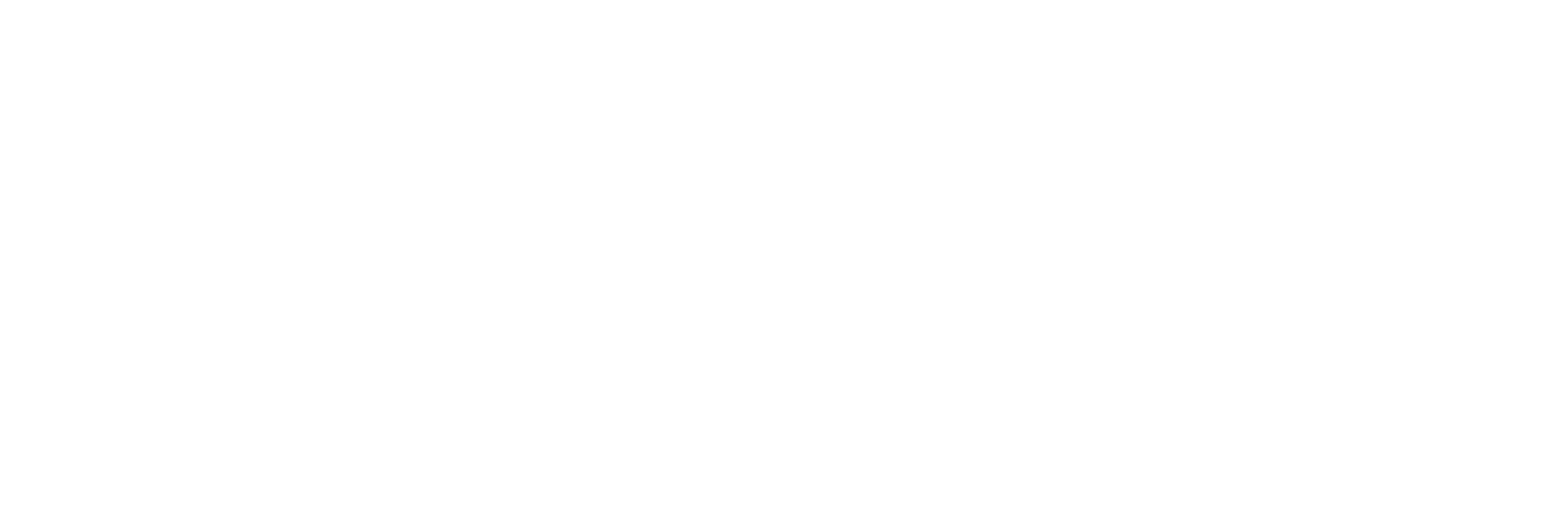 Delta Steel, Inc.