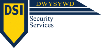 DSI Security Service