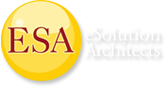 eSolution's Architects