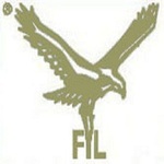 Falcons International Ltd.
