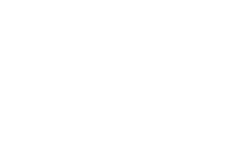 Fobis Technologies, Inc.