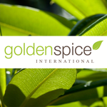 Golden Spice International