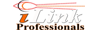 iLink Professionals, Inc.