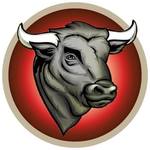 Iron Bull Manufacturing