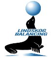 Lindskog Balancing Corp.