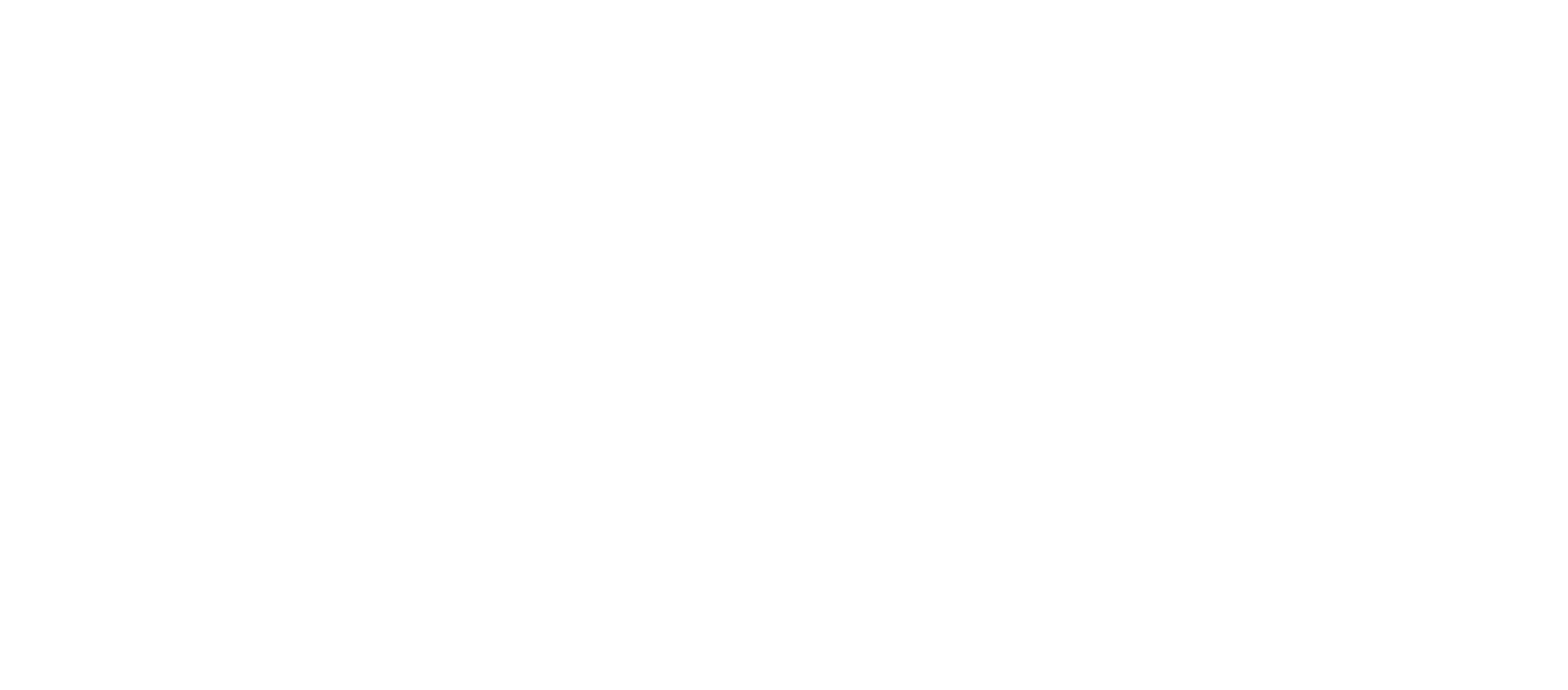 Outcomes & Incomes, Inc