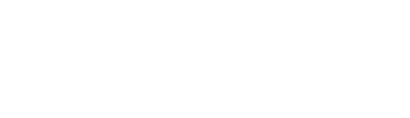 Quality Engineering Services, Inc.