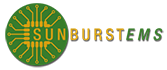 Sunburst EMS